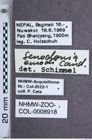 Etiketten zu Senodonia emodi (NHMW-ZOO-COL-0008918)